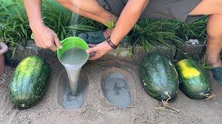 Artwork from Cement and Watermelon // Unique garden decoration ideas for you