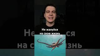 Не жалуйся на свою жизнь #факт #факты #интересно #смешно #познавательно
