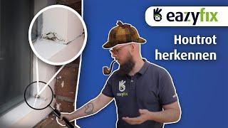 Houtrot in kozijn herkennen & repareren | Eenvoudige tips voor elk type schade | EAZYFIX