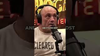 Joe Rogan on Meldrick Taylor's Brain Damage