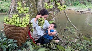 A single mother and her abandoned son wandered around picking forest fruits to sell