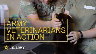 There are so many options as a Soldier! | U.S. Army