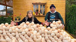 Grandma's Delicious Recipe with Chicken Eggs! A Comfortable, Peaceful Life in the Village!