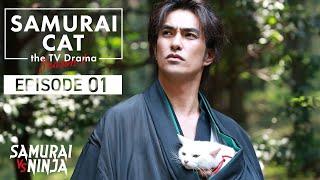 Samurai Cat the TV Drama: Season 1 | SAMURAI VS NINJA | English Sub