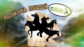 ОБЗОР НА 5 ЛОШАДЕЙ COLLECTA