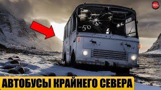 5 АВТОБУСОВ СССР ДЛЯ КРАЙНЕГО СЕВЕРА.