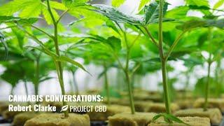 LIVE INTERVIEW: Robert Clarke, Author, on CBD Rich Plants & the Future of Cannabis Farming