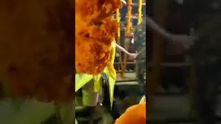 samakka sarakka jatara || mr sunny kongari.