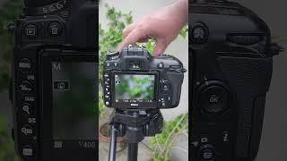 Nikon D7500 DSLR Camera Photography  #shorts #tranding #nikon #photography