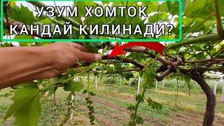 УЗУМ ХОМТОК КИЛИШ UZUM XOMTOK KILISH