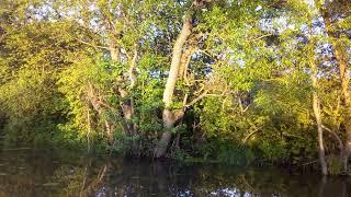 #vlog June 9, 2024, Fishing on outskirts on river up town