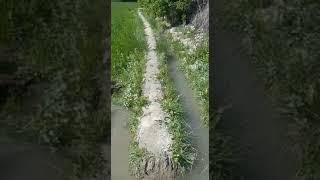 this video was shot in Tajikistan in Gorno Badakhshan region,Vanj district