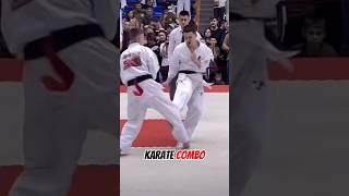 Karate kyokushin combo  #karate #mma #martialarts