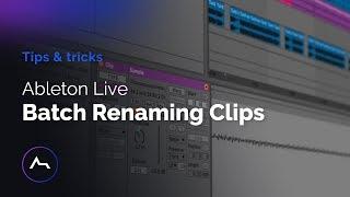 How to Batch Rename Clips in Ableton Live Quickly