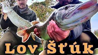 Film Lov Šťúk 1/Lov Štik/Lov na rybku/Lov na Prívlač /Lov na Rieke/Lov na Štrkovisku/ #pikefishing