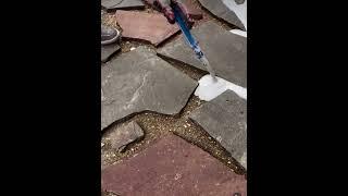 This Weird Trick Makes Stone Paths Look Amazing!