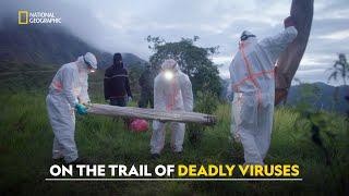 Tracking Deadly Pandemics | Virus Hunters | हिंदी | Full Episode | S1 - E1 | Nat Geo