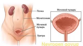 NEYROGEN QOVUQ. 90 9438473 Doktor Sohib