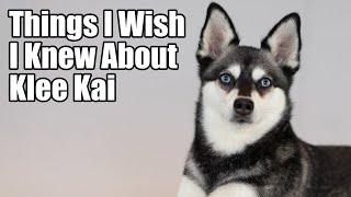 KLEE KAI: THINGS I WISH I KNEW Before Getting an AKK