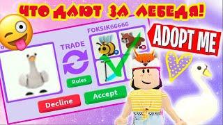 Что ДАЮТ за ЛЕБЕДЯ в Адопт Ми/OLD PET!!!ТРЕЙДЫ НА ЛЕБЕДЯ/ROBLOX/Adopt Me/Trade Swan