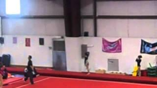 ashley,s vault joga level 5 states