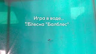 Игра в воде зимней ОКУНЕВОЙ блесны "Балблес" . Блесны CARGO