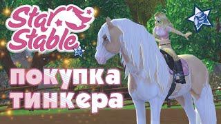 Star Stable - Покупка тинкера  ночная