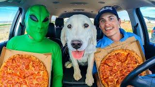 Police and Puppy Surprised by Alien in Car Ride Chase!