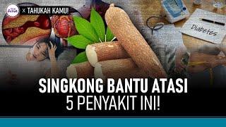 Rutin Makan Singkong Bantu Sembuhkan 5 Penyakit Ini | Hidup Sehat tvOne