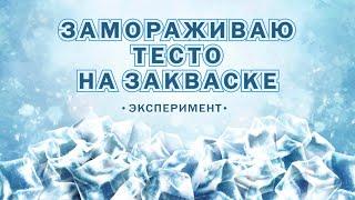 Что будет если заморозить тесто на закваске ? Подойдет или умрет? ПОВЕРЯЮ В НОВОМ ЭКСПЕРИМЕНТЕ!