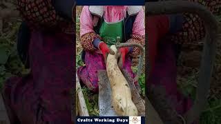 The Process Of Cutting Radish - Expert Man And Machinery Can Improve Work Efficiency