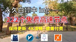 24年12月26日-1顺丰资源免费科学上网222节点meta翻墙8K视频4K，超机场VPN，Windows/mac/安卓ios、Vless小火箭Vmess小飞机Clash、V2ray、winXray