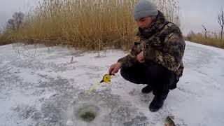 Зимняя рыбалка на окуня. 21.01.2018