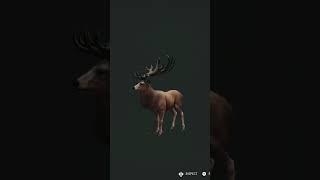 Hunter call of the wild: gold red deer