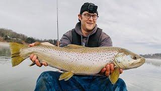 Catching a monster from a kayak (Boone Lake)