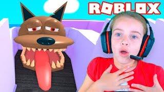 Осторожно ЗЛАЯ СОБАКА в ROBLOX Даша убегает от собаки Веселое видео ПОБЕГ ОТ СОБАЧКИ