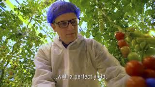 What is Plant Empowerment?