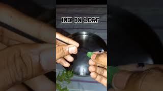 Simple Science Experiment || Amazing Science Experiment|| Simple Magic With Ink || Legend Experimant