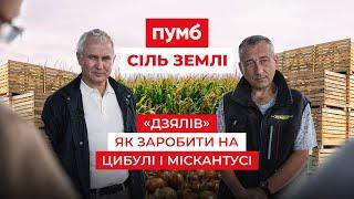 СІЛЬ ЗЕМЛІ: Як в ФГ «Дзялів» заробляють на цибулі, кавунах і міскантусі | Latifundist