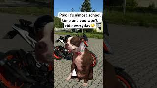 That's sad #meme #sad #motorcycle #school #bike #ktm #duke #lostrider