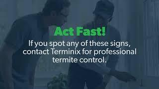 Signs of Termites: Terminix's Guide to Common Termite Signs
