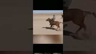 #respect #automobile #qashqir tv #rek #mma #horse #colonelkkjϟ #vintage