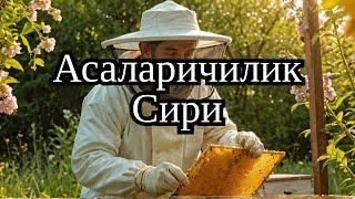 Асаларичилик Она ари (матка) чикариш учун жентер #пчел #asalarichilik #asal #асаларичилик #пчеловод