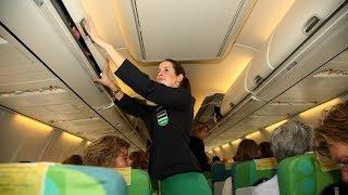 Hogeschool Tio stewardess Transavia