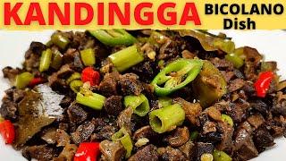 KANDINGGA | Lutong Bicol Na May Gata At Kangkong | BOPIS Ng Mga Uragon | Bikolano Food