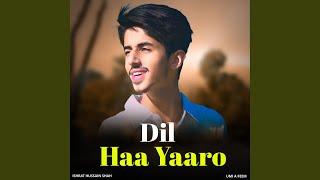 Dil haa yaaro (feat. Ishrat hussain shah)