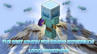 This Minion makes 1,000,000 Mining EXP per Day! (Hypixel Skyblock)