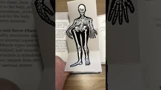 New book in the library…My Anatomical Journal By Marianne Petit #books #anatomy