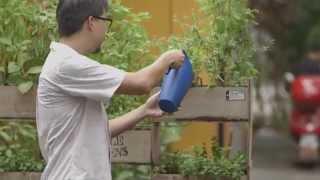 Urban Farming in Singapore | Outliers | Channel NewsAsia Connect