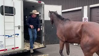 Our Journey to Spruce Meadows